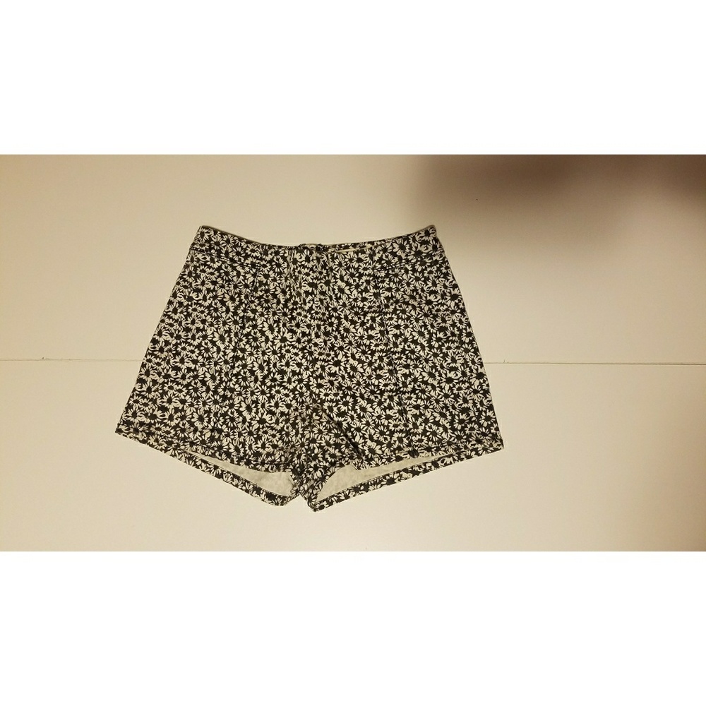 Pacsun Shorts